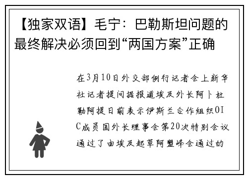 【独家双语】毛宁：巴勒斯坦问题的最终解决必须回到“两国方案”正确轨道
