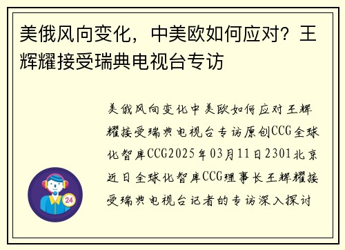 美俄风向变化，中美欧如何应对？王辉耀接受瑞典电视台专访