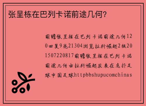 张呈栋在巴列卡诺前途几何？