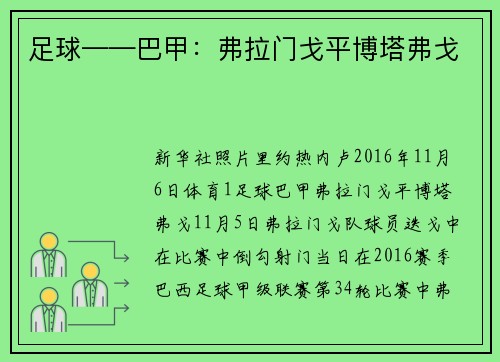 足球——巴甲：弗拉门戈平博塔弗戈